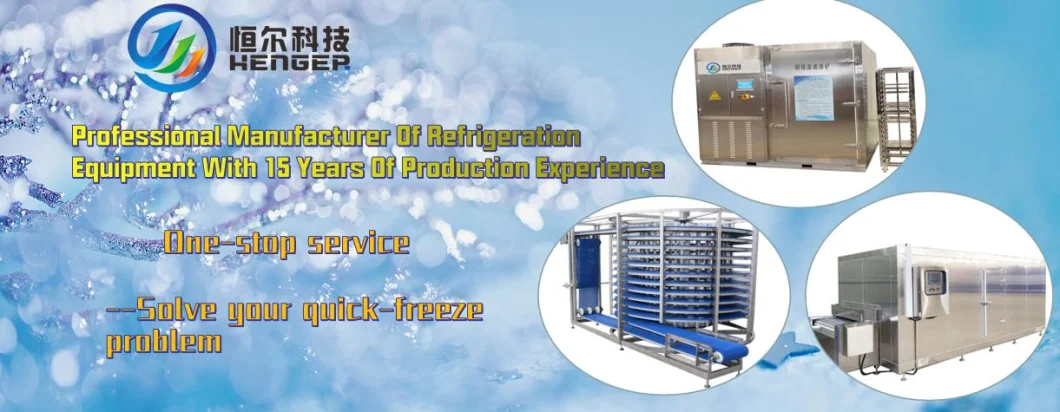 IQF Freezer Refrigeration Equipment