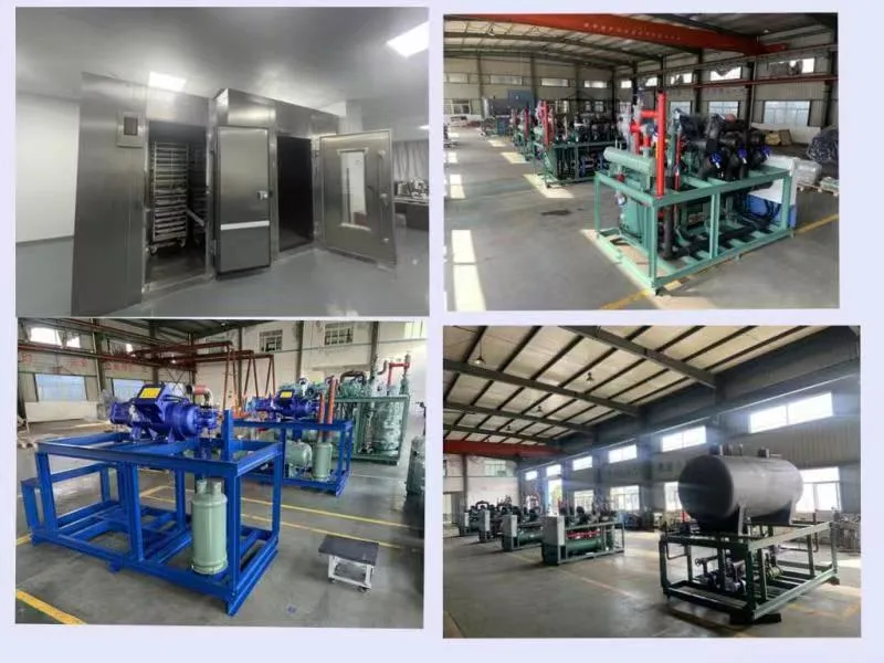 Condensing Unit Parallel Refrigeration Cold Storage Quick Freezing Equipment